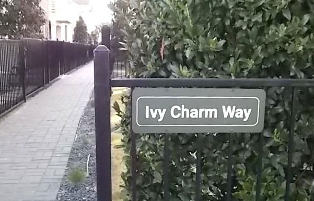 4913 Ivy Charm Way, Fort Worth, TX 76114