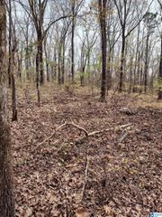 0 BILLINGSLEY DRIVE, Childersburg, AL 35044