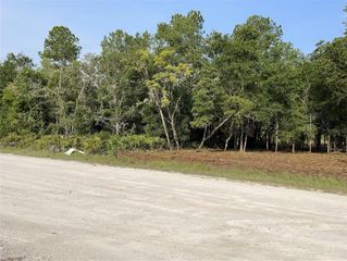 7123 GLENCHESTER DRIVE, Webster, FL 33597