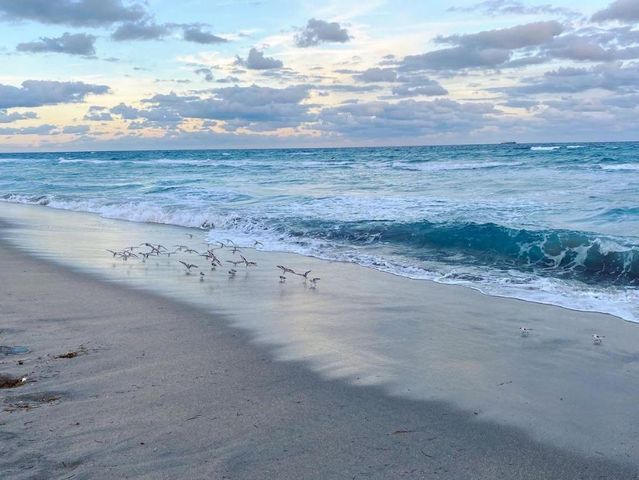 254 NW 11th Avenue, Boca Raton, FL 33486