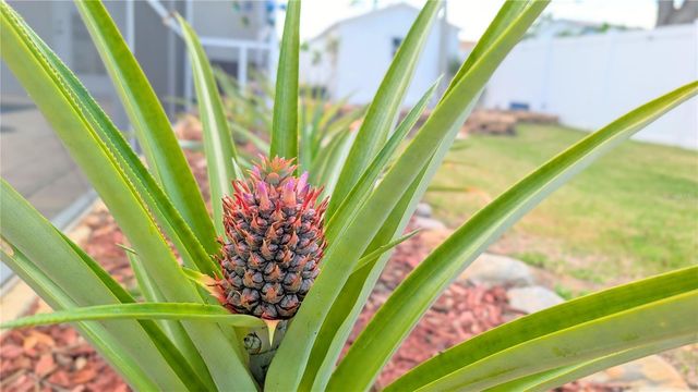 23340 PAINTER AVENUE, Port Charlotte, FL 33954