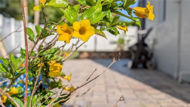 23340 PAINTER AVENUE, Port Charlotte, FL 33954