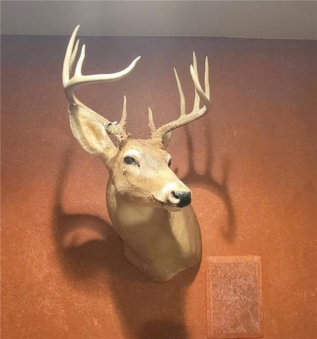 W10821 Johnson Road, Merrillan, WI 54754