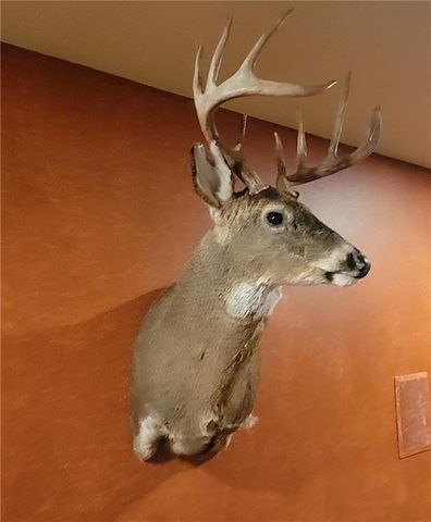 W10821 Johnson Road, Merrillan, WI 54754