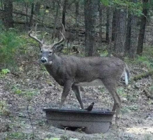 W10821 Johnson Road, Merrillan, WI 54754