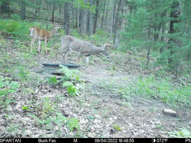 W10821 Johnson Road, Merrillan, WI 54754