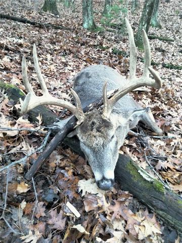 W10821 Johnson Road, Merrillan, WI 54754