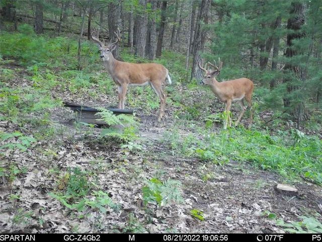 W10821 Johnson Road, Merrillan, WI 54754