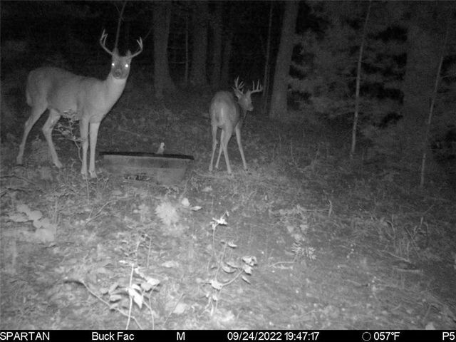 W10821 Johnson Road, Merrillan, WI 54754