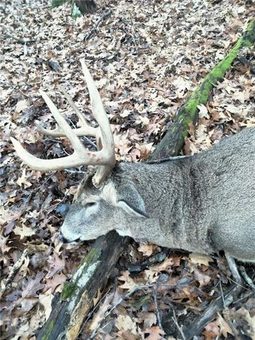 W10821 Johnson Road, Merrillan, WI 54754