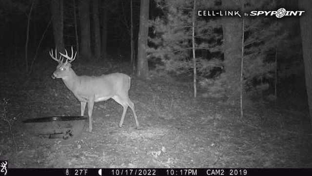 W10821 Johnson Road, Merrillan, WI 54754