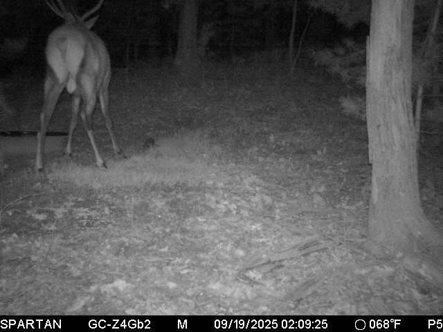 W10821 Johnson Road, Merrillan, WI 54754