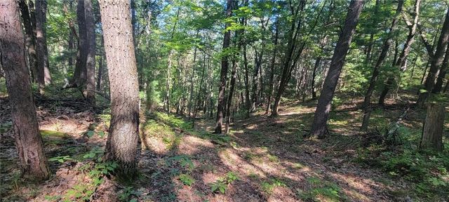 W10821 Johnson Road, Merrillan, WI 54754