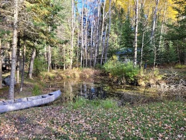 8109 M 55, Whittemore, MI 48770