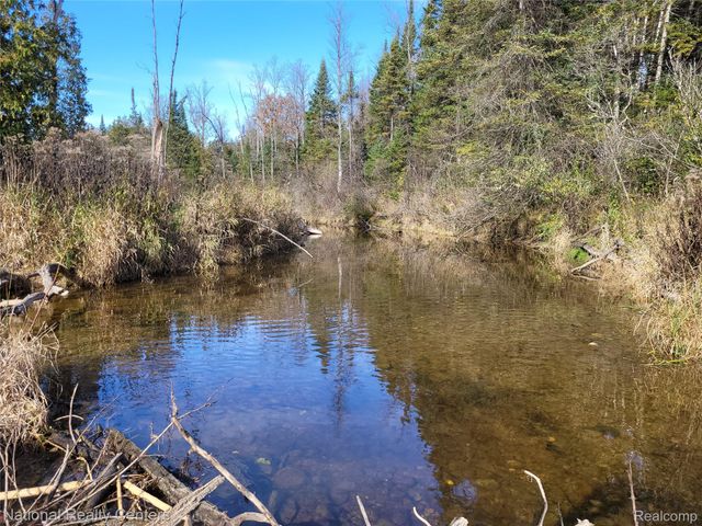 8109 M 55, Whittemore, MI 48770