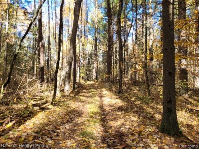 8109 M 55, Whittemore, MI 48770