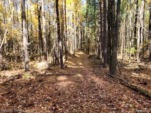 8109 M 55, Whittemore, MI 48770