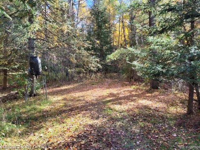 8109 M 55, Whittemore, MI 48770