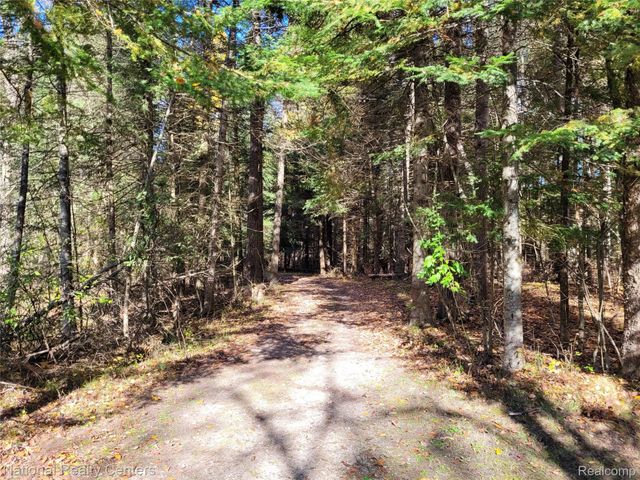 8109 M 55, Whittemore, MI 48770