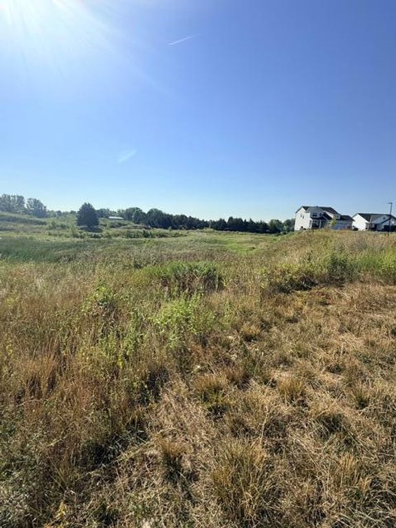 2574 Buffalo Ridge Drive, Buffalo, MN 55313 — photo 3