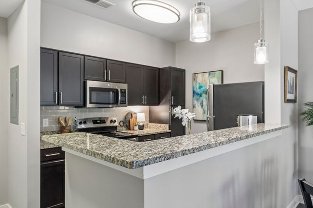 410 Rosedale Ave Apt 209, Nashville, TN 37211