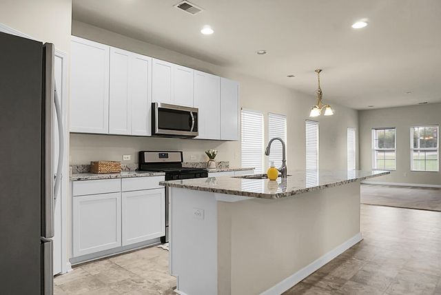 102 Chaste Tree Circle, Goose Creek, SC 29445