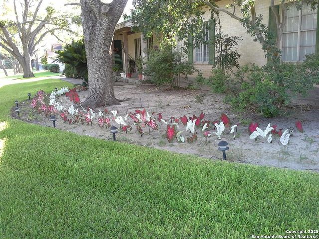 40 Encino Loma, Beeville, TX 78102