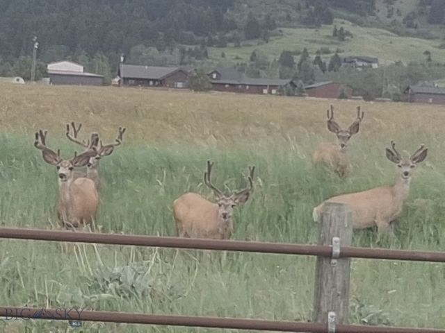 5200 Bostwick Road, Bozeman, MT 59715