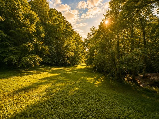 1564 Rackley Road, Ellijay, GA 30536