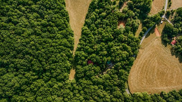 1564 Rackley Road, Ellijay, GA 30536