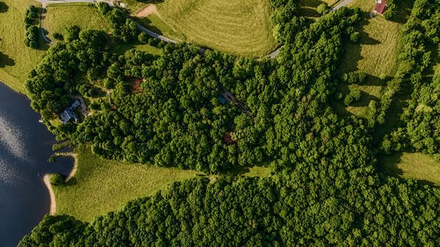 1564 Rackley Road, Ellijay, GA 30536