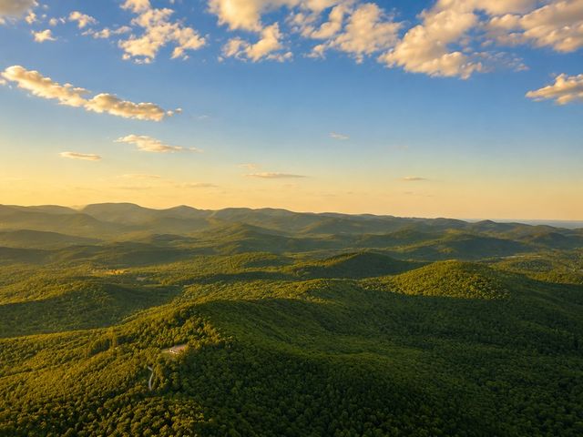 1564 Rackley Road, Ellijay, GA 30536