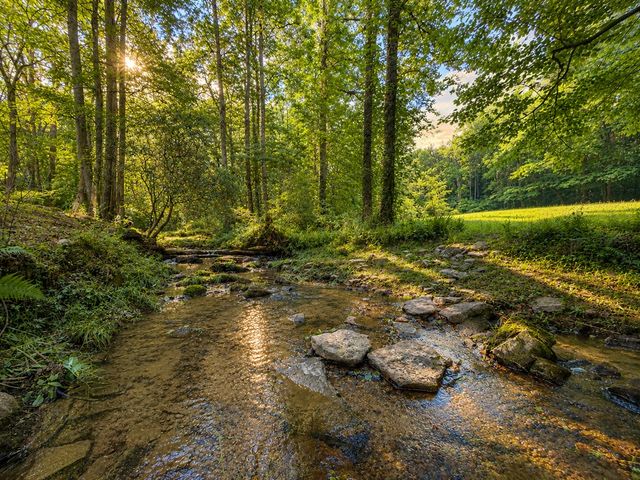 1564 Rackley Road, Ellijay, GA 30536