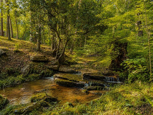 1564 Rackley Road, Ellijay, GA 30536