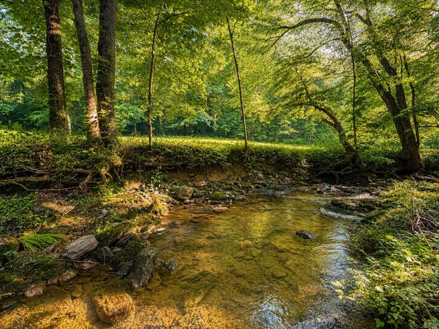 1564 Rackley Road, Ellijay, GA 30536