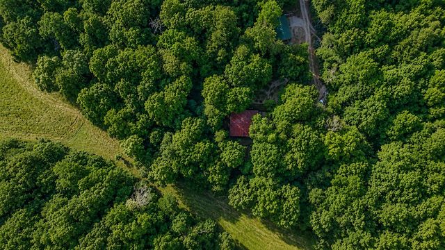 1564 Rackley Road, Ellijay, GA 30536