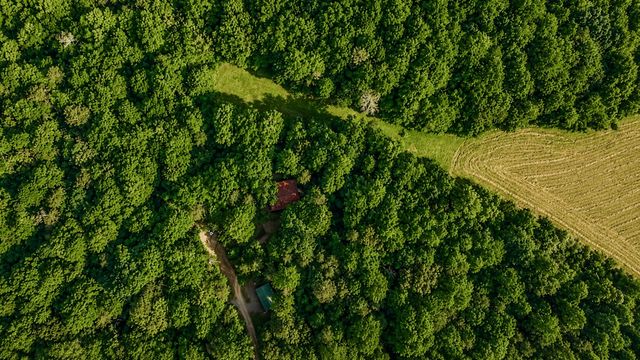 1564 Rackley Road, Ellijay, GA 30536