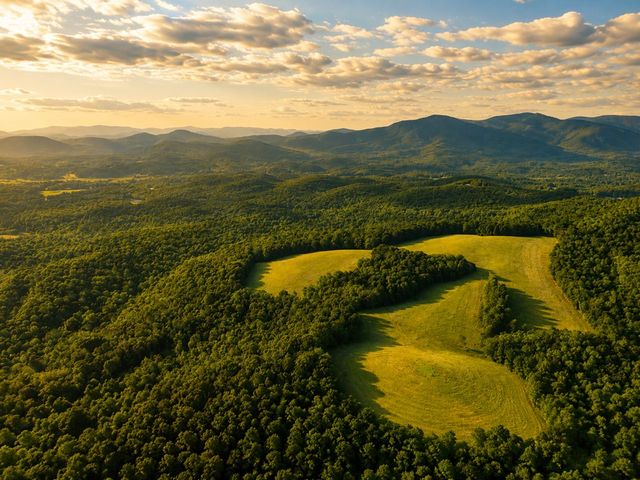 1564 Rackley Road, Ellijay, GA 30536
