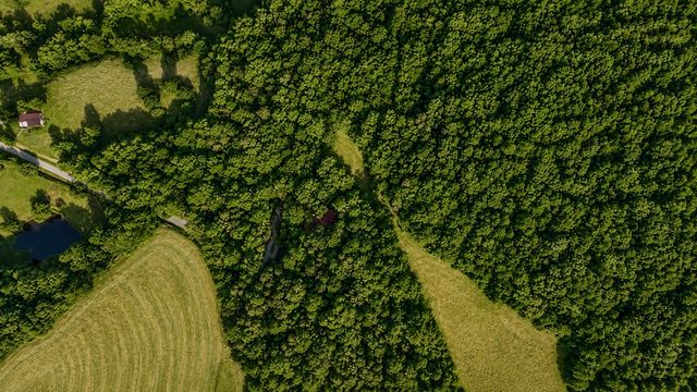 1564 Rackley Road, Ellijay, GA 30536