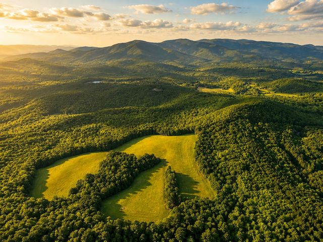 1564 Rackley Road, Ellijay, GA 30536