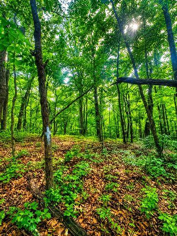 1564 Rackley Road, Ellijay, GA 30536