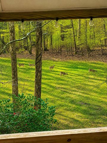 1564 Rackley Road, Ellijay, GA 30536
