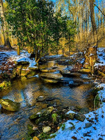 1564 Rackley Road, Ellijay, GA 30536