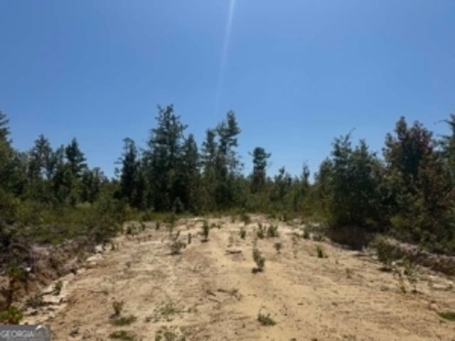 0 Stone Church Road, East Dublin, GA 31027