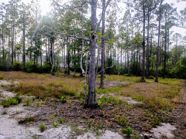 349 Fifty Lakes Drive, Southport, NC 28461