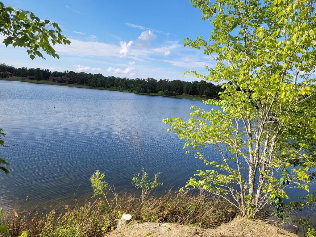 775 Camp Creek Cir, Spencer, TN 38585