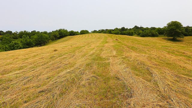 1092 Bushtown Road, Harrodsburg, KY 40330