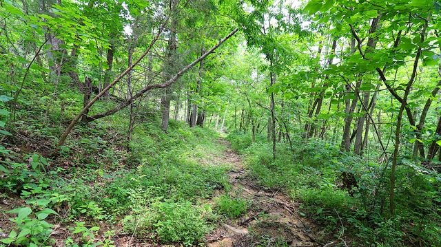 1092 Bushtown Road, Harrodsburg, KY 40330