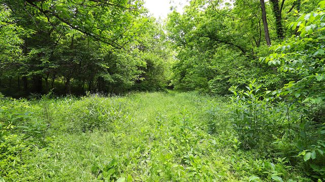 1092 Bushtown Road, Harrodsburg, KY 40330