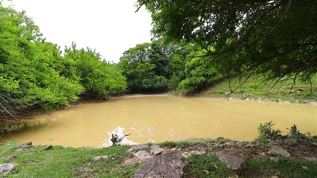 1092 Bushtown Road, Harrodsburg, KY 40330